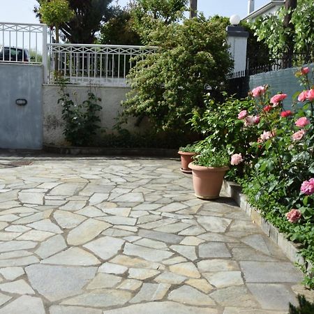 Spacious Apartment At Ioannina, Anatoli Anatoli  Екстер'єр фото