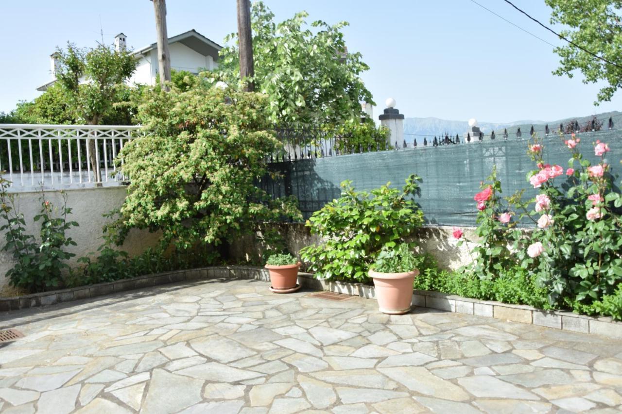 Spacious Apartment At Ioannina, Anatoli Anatoli  Екстер'єр фото
